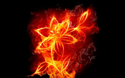 vector-flower-fire-wallpaper-free-desktop-wallpaper.jpg